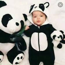 صور باندا Baby Panda Panda Nursery Cute Panda