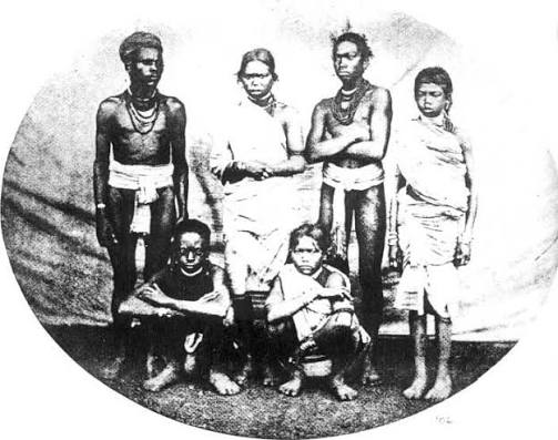 dhivehi bavana