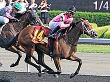 The race takes place each summer, normally in june or. Queen S Plate Wikipedia