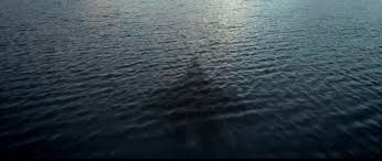 The russia president vladimir putin reveals. Cebpvhu3rewxhm