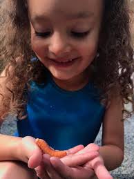 You really never know what you are going to see in Alaska! First I saw a  caterpillar