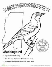 Mississippi State Bird Worksheet Education Com State Birds Mississippi History Mississippi State