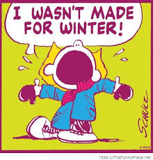 Funny Quotes About Cold Weather Quotesgram Christmas on a wintry december night brings families closer as they cozy up around a warm hearth. funny quotes about cold weather quotesgram
