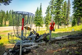 Image result for disc golf