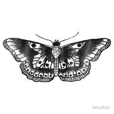 Black And White Harry Styles Butterfly Tattoo Harry Styles Butterfly Tattoo By Imoulton Harry Styles Tattoos Harry Styles Butterfly Harry Styles Tattoo Sweatshirt