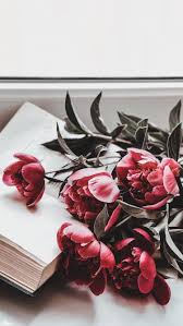 Flowersbackgroundiphone Sal Fondd Ecran Hintergrund Wallpaper 2020 Pembe Noel Soyut Cicek Resimleri Cicekli Desenler