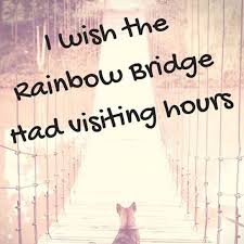 I Miss My Dobby Pet Remembrance I Love Dogs Pet Loss Grief