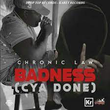 Chronic Law Badness Cya Done Prod By Drop Top Records Drop Top Records Chronic