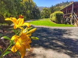 Our family has lived and grown up in the townsend area all of our lives. Little River Log Cabins 719 Little River Rd Little River Nsw 2720 Australia