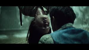 Netflix spent much of 2017 trying to establish itself as an alternative to movie theaters as a place to find quality new films. 20 Best Survival Movies On Netflix 2021 2020 Cinemaholic