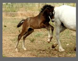 images?q=tbn:ANd9GcQaPFv6-bUJON553pvVTA7KNNhj4XLBY3c5yfwoPOpQtruEcYK_7w