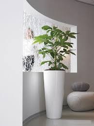 Tall Square Planter White Google Search Large Indoor Plants White Planters Indoor Indoor Plant Pots