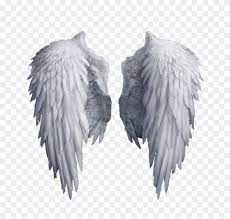 Angel wings · free pngs, stickers, photos, aesthetic backgrounds and wallpapers, vector illustrations and art. Angel Wings Png White Angel Wings Angel Aesthetic White Angel Wings Transparent Background Clipart 5838446 Pikpng