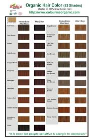 Colorations 100 Naturelles A Base De Plantes Coulour Me Organic De Radico Qui Revelent La Beaute Blond Cendre Lumiere Coloration Vegetale Coloration Cheveux