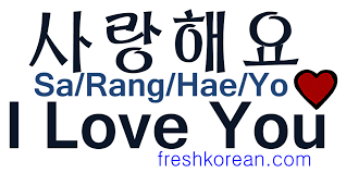 Chagiya artinya adalah sayang, penggunaan kata ini begitu mendalam di negara korea. Nado Neoreul Saranghae In English