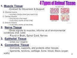 We did not find results for: Structure And Function In Animals And Plants Ppt Video Online Download