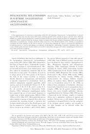 Image result for Stathmostelma pauciflorum