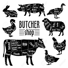 cut of meat diagram for butcher poster for butcher shop guide