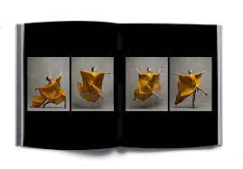 Open a saved photo book. Book Nyc Dance Projectnyc Dance Project