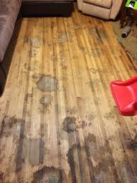 How To Refinish Stained Hardwood Floors Refinishing Hardwood Floors Flooring Hardwood Floor Colors