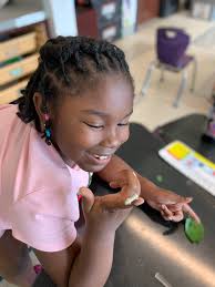 Nancy Bradley Castle (@NancyCastle321)