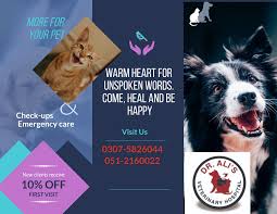Goncharov was very friendly and honest with us regarding what was needed for our dogs. Dr Ali S Veterinary Dr Ali S Veterinary Hospital Facebook