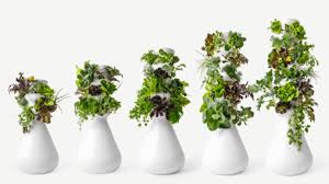 How to make a hydroponic lettuce garden. Lettuce Grow Farmstand Review A Hydroponic Garden Fit For Beginners