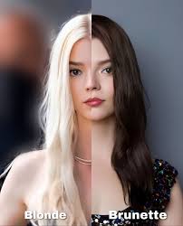 Bartok + Kitsune= la familia Taylor-Joy Mcrae 🐈🐶🐾