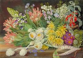 Image result for Lessertia macrostachya