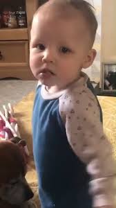 There is a model of the Elan Valley reservoirs in Cannon Hill Park in  Birmingham. A replica of the water supply for Birmingham sits in a hidden  corner of Edgbaston's Cannon Hill