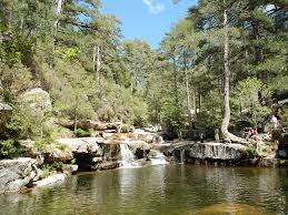 10 Piscines Naturelles Qu On Verrait Bien Dans Notre Jardin Inspiration Voyage