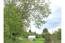 Petak Tanah Untuk Pertanian Untuk Disewakan Disewa Guna Usaha Ulm 141360040 189 Re Max Tunisia Public Listing