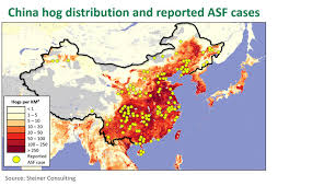 If you suspect it, you must report it immediately by calling the 8 october 2020. African Swine Fever Continues To Spread Meat Livestock Australia