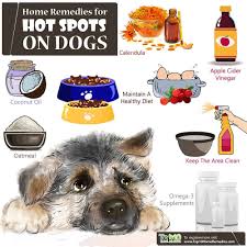 Mix well until a thick paste is created. Home Remedies For Hot Spots On Dogs Top 10 Home Remedies Dog Hot Spots Dog Hot Spots Remedy Dog Hot Spots Treatment