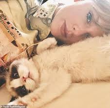 Ragdoll kittens, ragdoll kitten, ragdoll breeder, ragdoll breeders ragdoll kittens for sale niceville, ragdoll kittens for sale santa rosa beach. Taylor Swift Coos Over Her New Kitten Benjamin Button Who Likes Being Carried Like A Human Baby Daily Mail Online