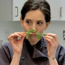 Test Kitchen : gourmet.com