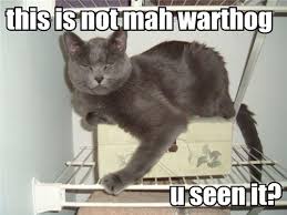 Image result for lolcats