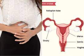 Pendarahan ini tidak terkait dengan menstruasi ataupun setelah masa. Kenali Kanker Serviks Silent Killer Yang Seringkali Tanpa Gejala Semua Halaman Grid Health