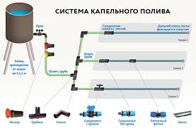 как сделать капельный полив в теплице из пластиковых бутылок Ustrojstvo Kapelnogo Poliva V Teplice Foto Video Otzyvy Kapelnoe Oroshenie Oroshenie Teplica