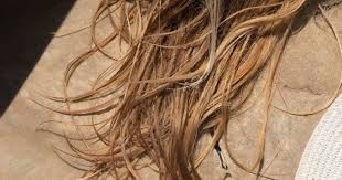 There are a lot of ways to get acv into your hair, but the most popular is an apple cider vinegar rinse. Rinse Your Hair With This Diy Apple Cider Vinegar Recipe