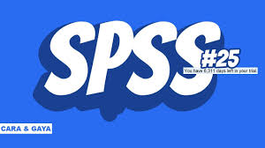 Cara Download Dan Instal Ibm Spss Statistic 25 Youtube