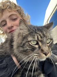 Does this cat belong to someone in the vicinity of Palm/Sally St? She hangs  out