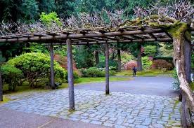 Wisteria Arbor Portland Japanese Garden Portland Japanese Garden Japanese Garden Wisteria Arbor