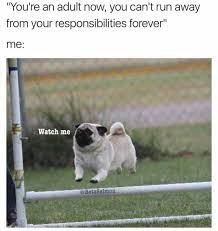 You Can T Run Away From Your Responsibilities Forever Funny Pictures Funny Memes Funny