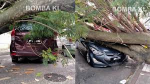 Maybe you would like to learn more about one of these? 2 Kenderaan Dihempap Pokok