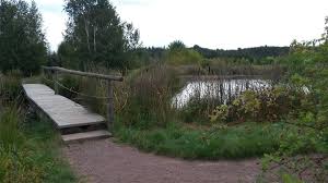 Forstbotanischer Garten Tharandt Forstpark Ausflugsziele Im Erzgebirge Osterzgebirge
