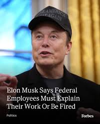 Billionaire and government efficiency leader Elon Musk announced in a post 