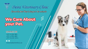 Pet clinic pte ltd was established in 2005 with the aim of providing high quality veterinary care for your pets. Byylshlaildwdm