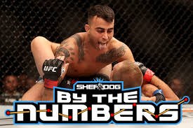 Mma fighter makwan amirkhani represents the country: Amirkhani Sherdog
