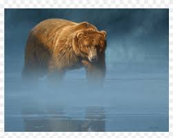 Grizzly Encounter Poster Aaron Blaise Bear Clipart 5973506 Pikpng